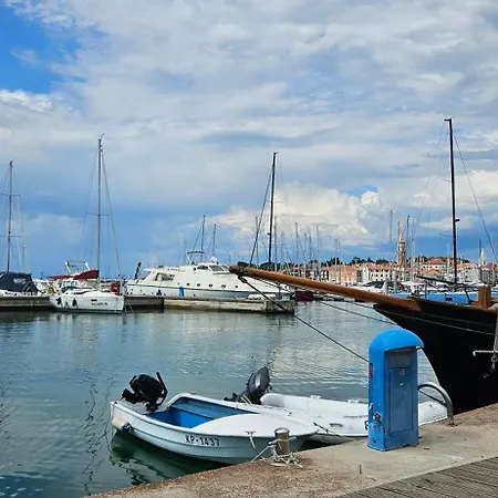 Laguna 30,31 *